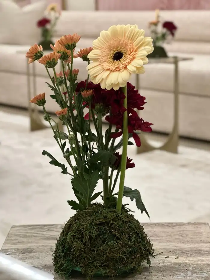 تنسيق كوش ومداخل ومواليد وتخرج بأسعار مميزة 19