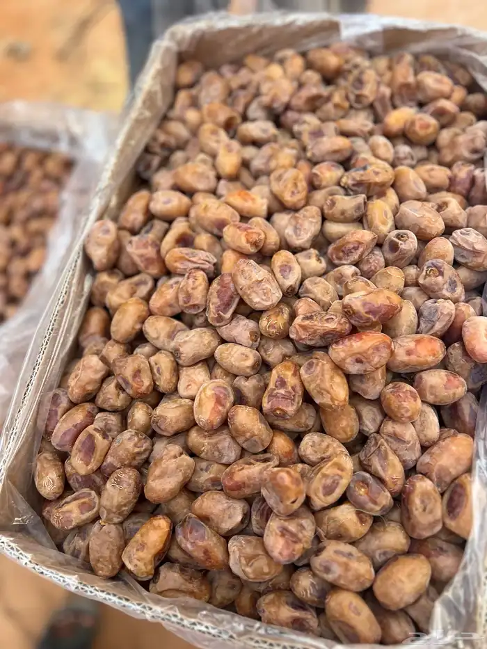 تمر اخلاص 400 كرتون 10