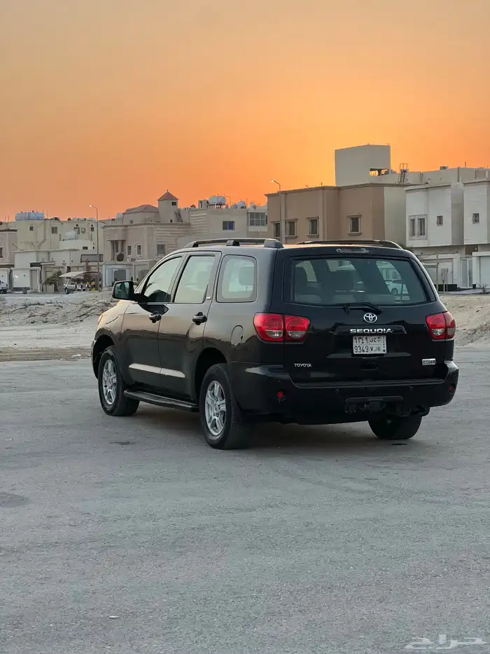سكويا 13