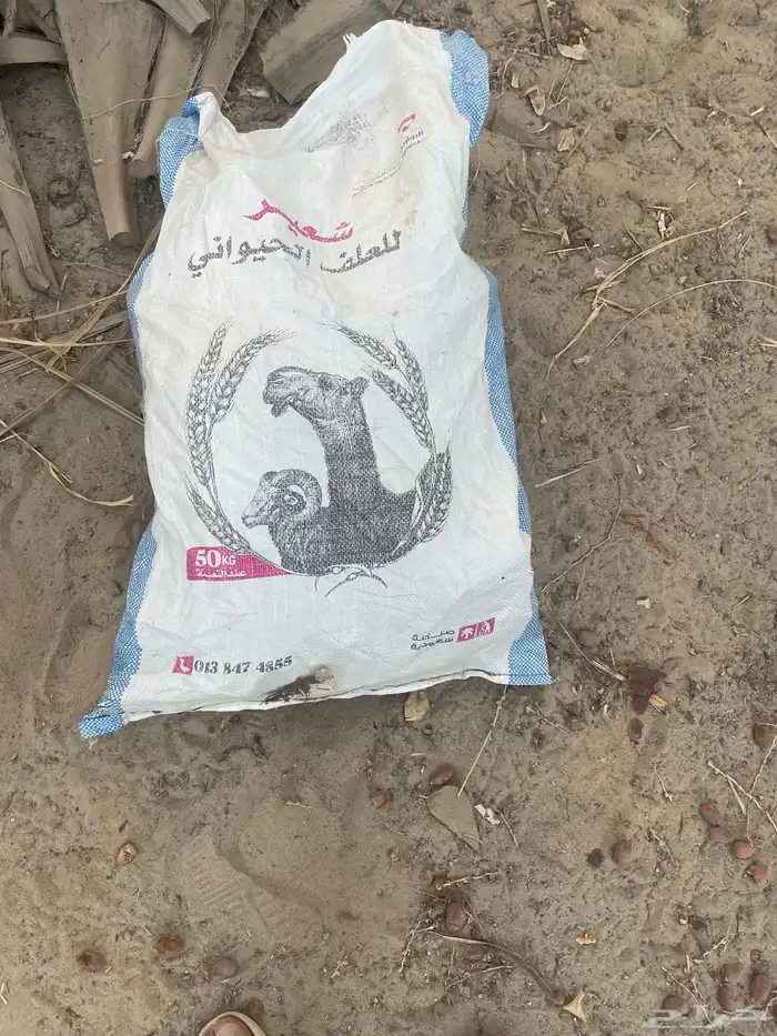 كرب نخل 0