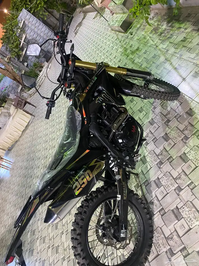 دباب صحراوي للبيع الوسام 1