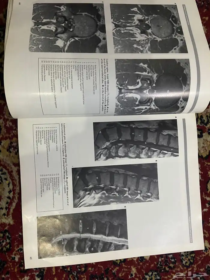 ادوات منزليه كتب شاشه سكاي ورث 55 بوصه 2