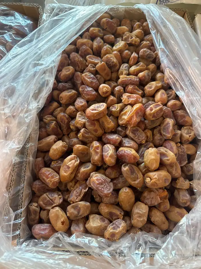 تمر خلاص ممتاز 2