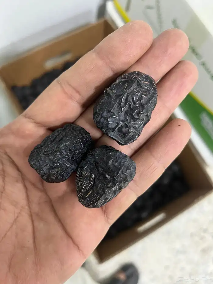 تمر عجوه للبيع 1
