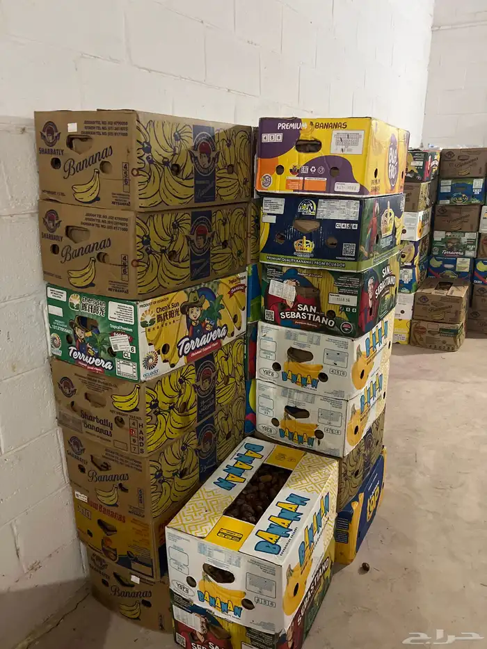 متوفر انتاج تمور جديدة الف كرتون موز 0