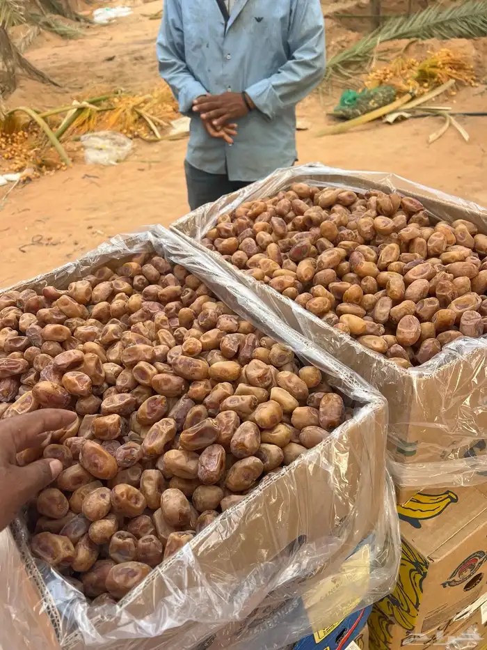 تمر اخلاص 400 كرتون 4