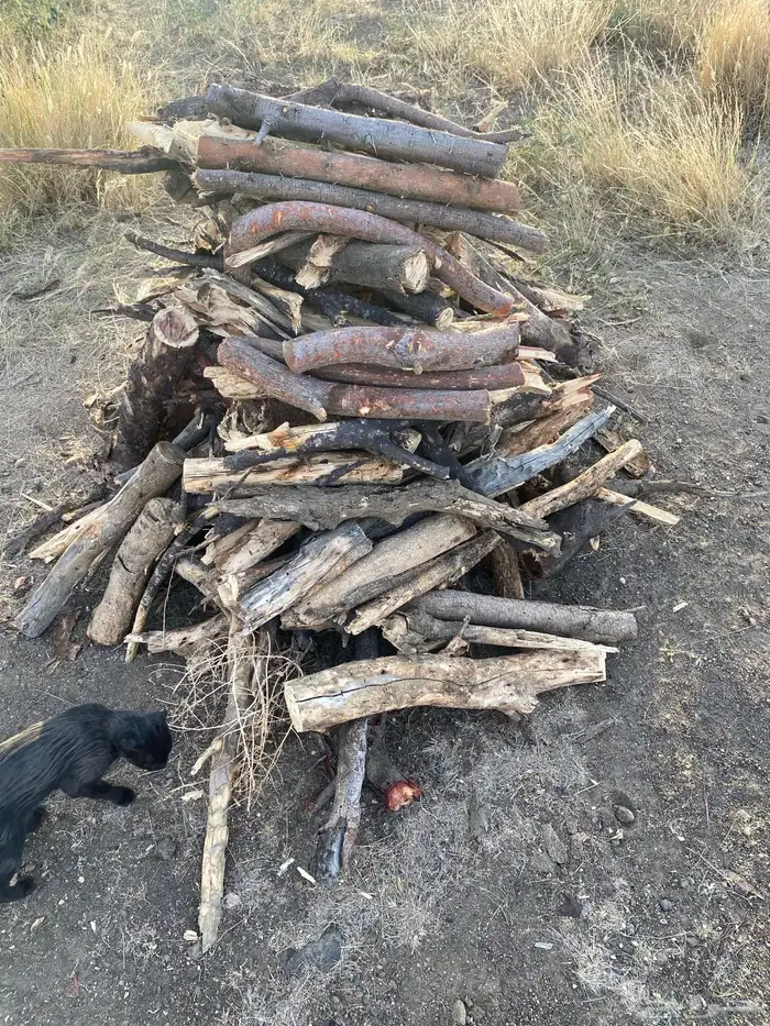 هايكس غامريتين 0