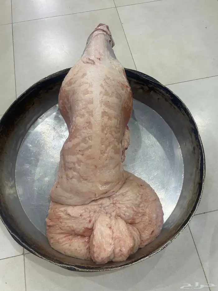 حريات ونعيم ثلاجه ومناسبات كفو 8