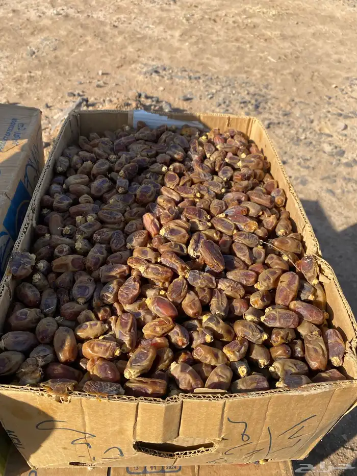 لبيع تمر عادي العدد85كرتون 0
