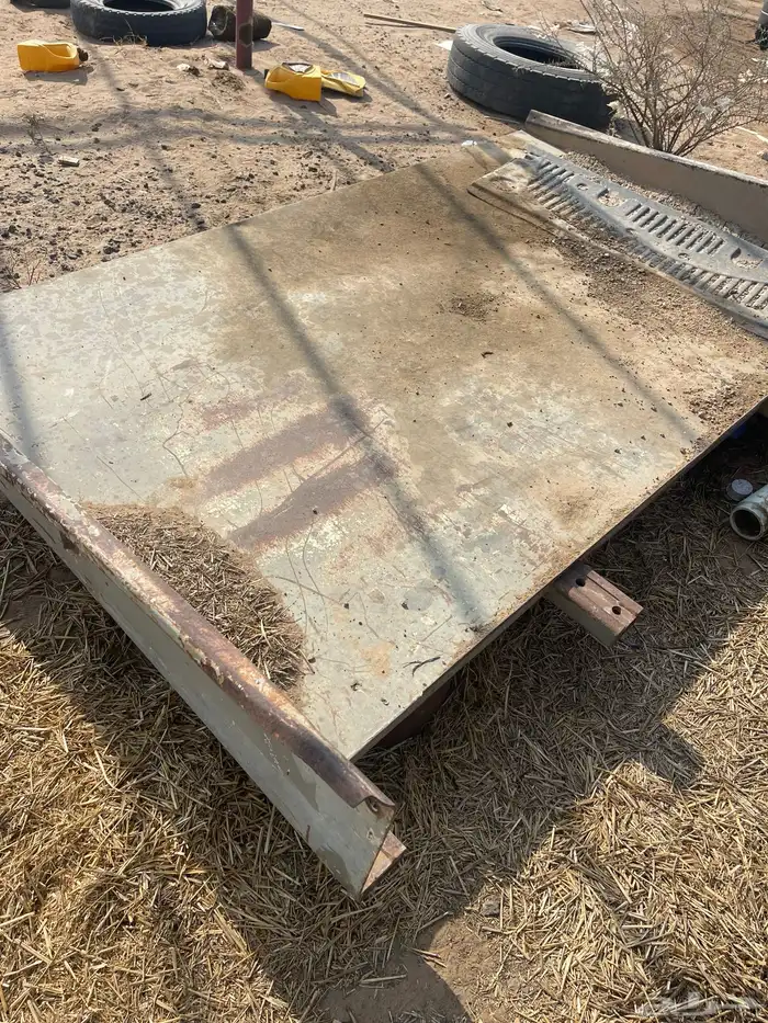 صدر تيدار ألماني كرونا 1