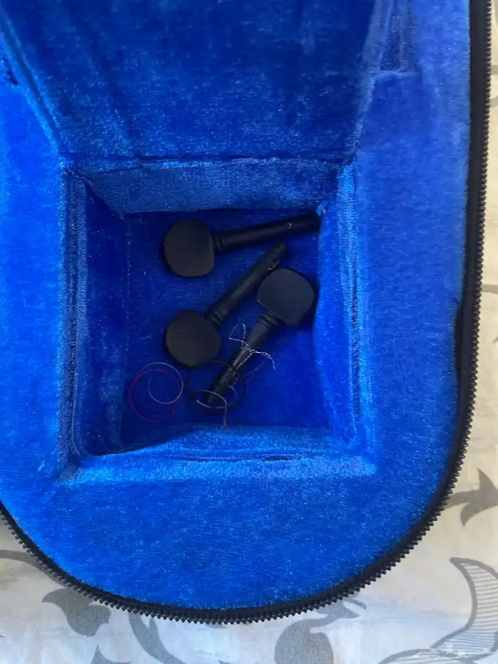 اله موسيقية وتريه الآلة كلاسيك قديمة 4