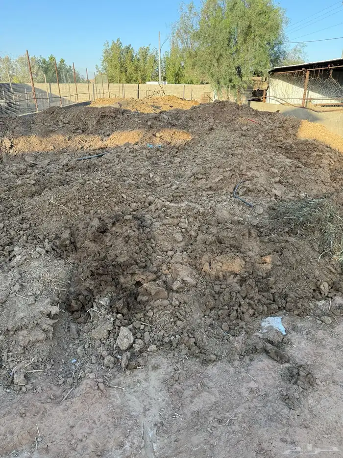 سماد بقر 0