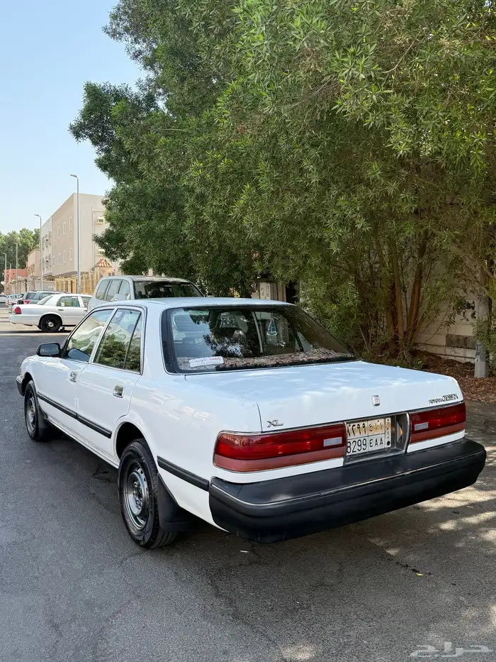 كرسيدا نظيفه 1991 6