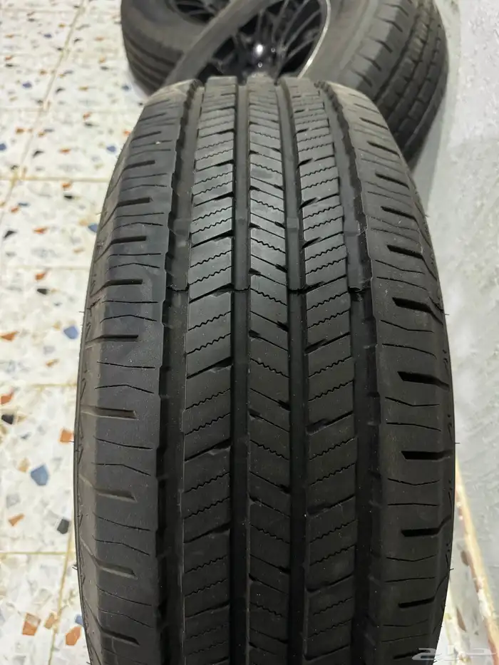جنوط برايد شبه نظيفه 2
