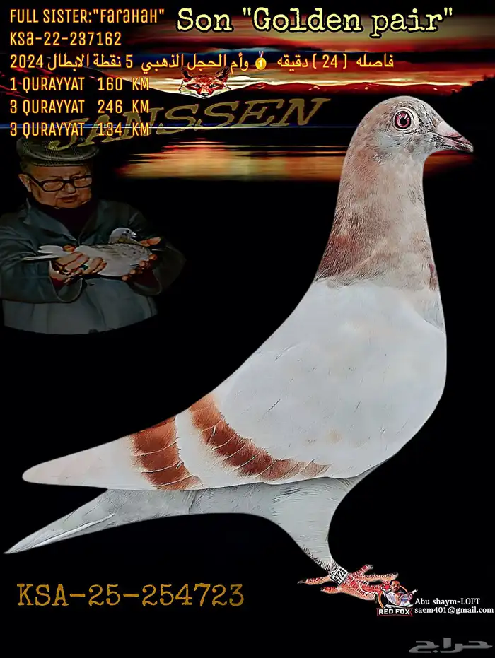 زاجل جانسن الأقزام خطوط السرعه 0