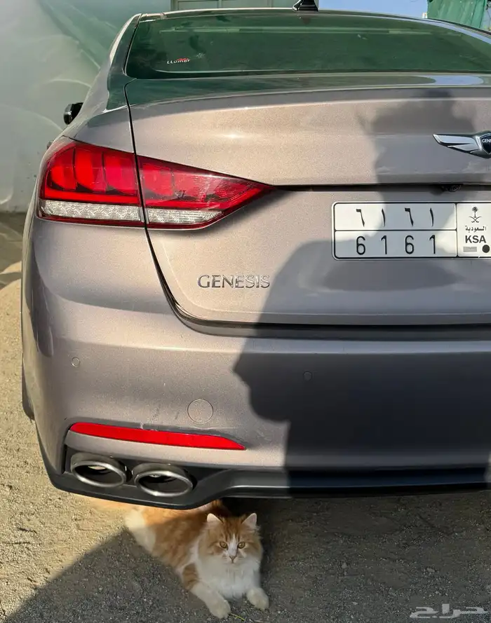 جينسس v8 -2017 0