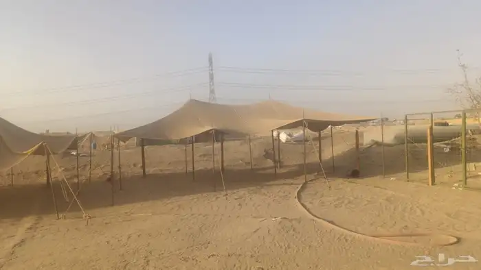 مراح باغراضه للبيع او الايجار 4