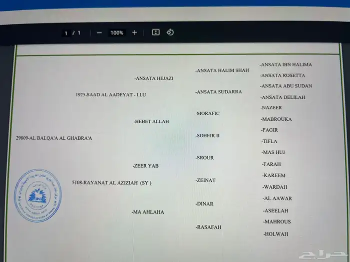 فرس واهو 2