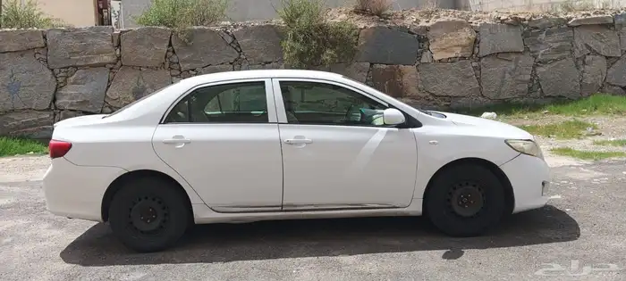 كوريلا 2010 0