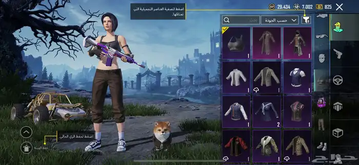 حساب ببجي للبيع على السوم 8