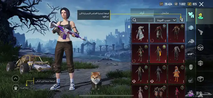 حساب ببجي للبيع على السوم 13
