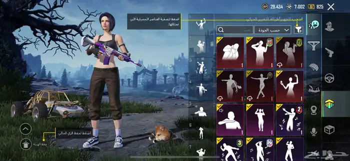 حساب ببجي للبيع على السوم 3