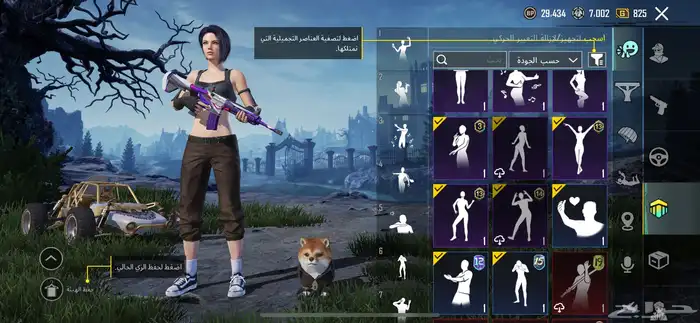حساب ببجي للبيع على السوم 4