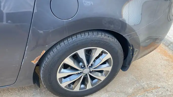 كرنفال 2018 ديزل 19