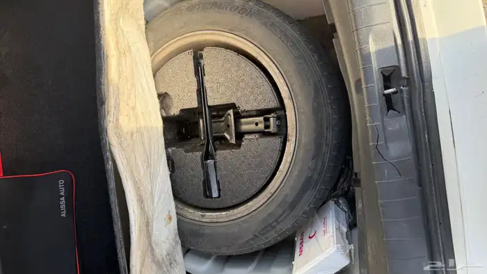 التيما 2014 SV 17