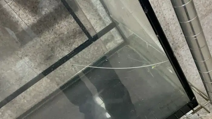 حوض خاص إلى الزواحف 3