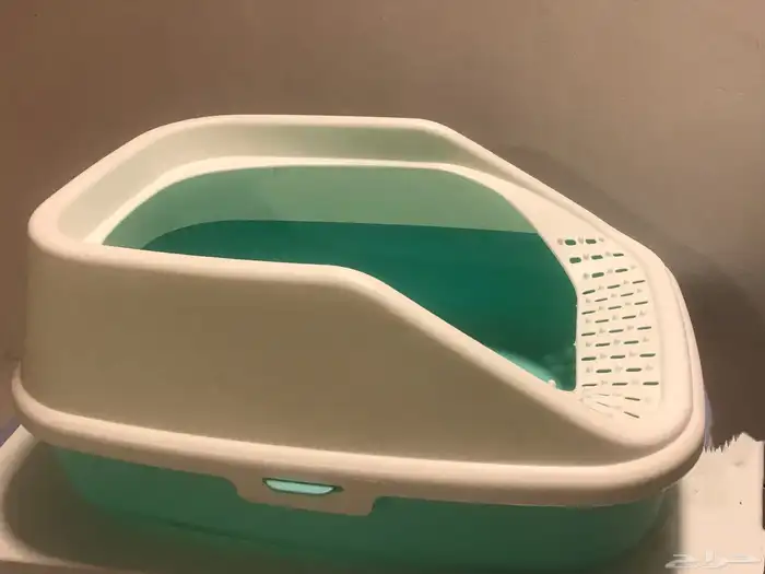 قطط 2