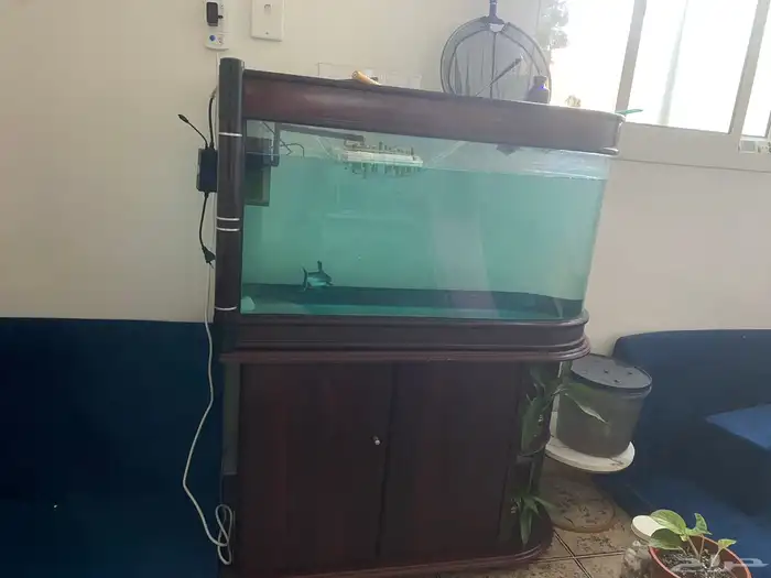 حوض سمك للبيع 1