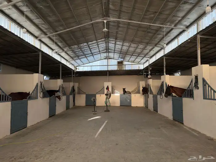 اسطبل خيل للايجار في العمارية 3