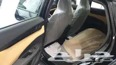 شانجان يوني في ايليت 2
