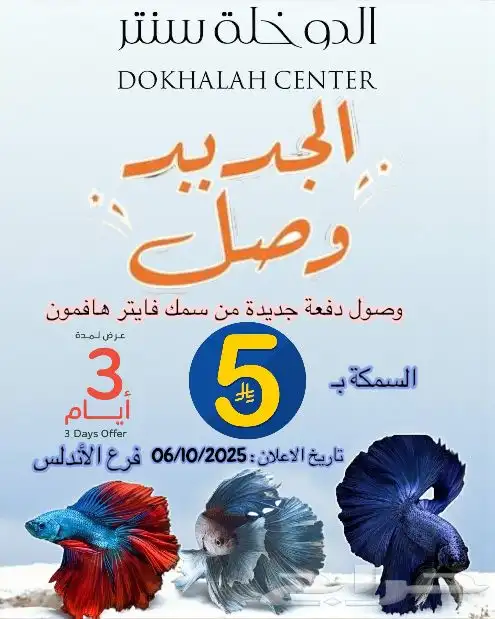 سمك فايتر هافمون بسعر 5 ريال 0
