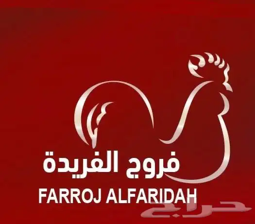 صدور فيليه - شاورما طازجة 2