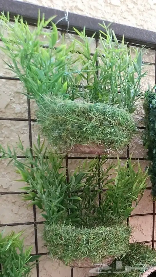 اعشاش للطيور الكناري والحسون صنع يدوي 1