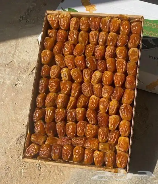 تمر سكري جالكسي فاخر من مزارعنا بالقصيم 0