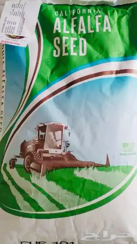 بذور برسيم ك 101 امريكي 0