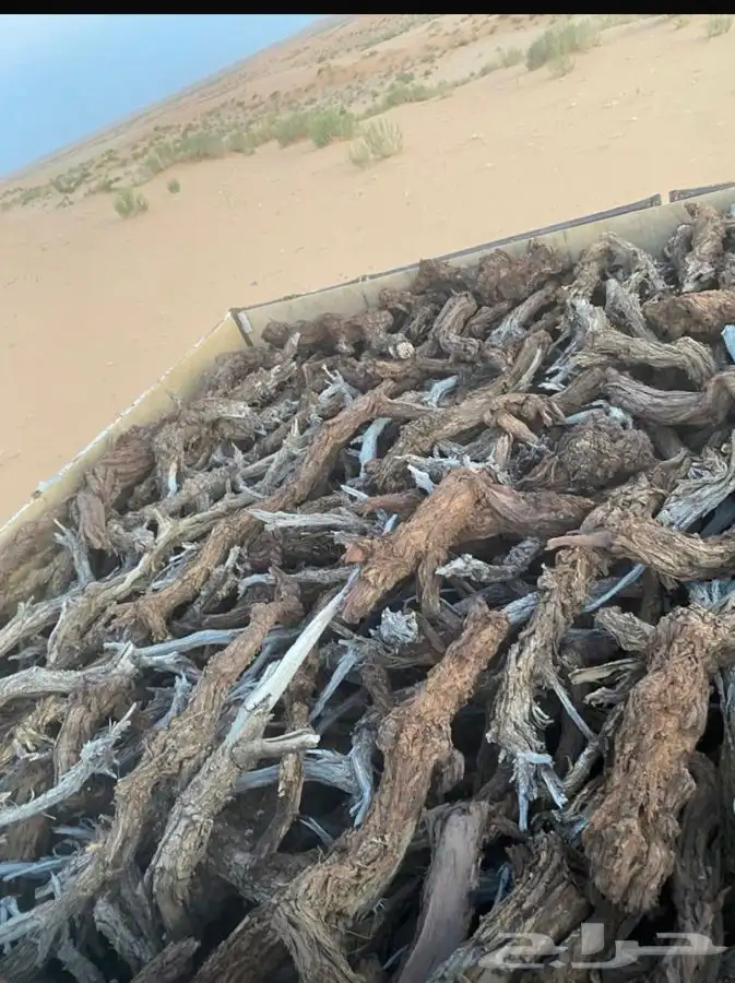 صندوق هيلقس 1