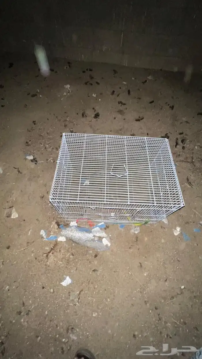 شبك عصافير للبيع 610 2
