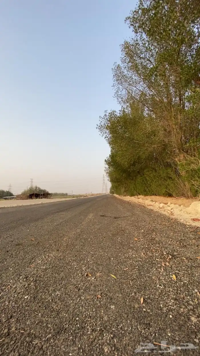 بدء. التاجير اراضي زراعية طريق الرياض الجبيل 1