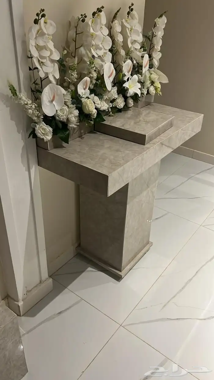 عربية شبكة 1