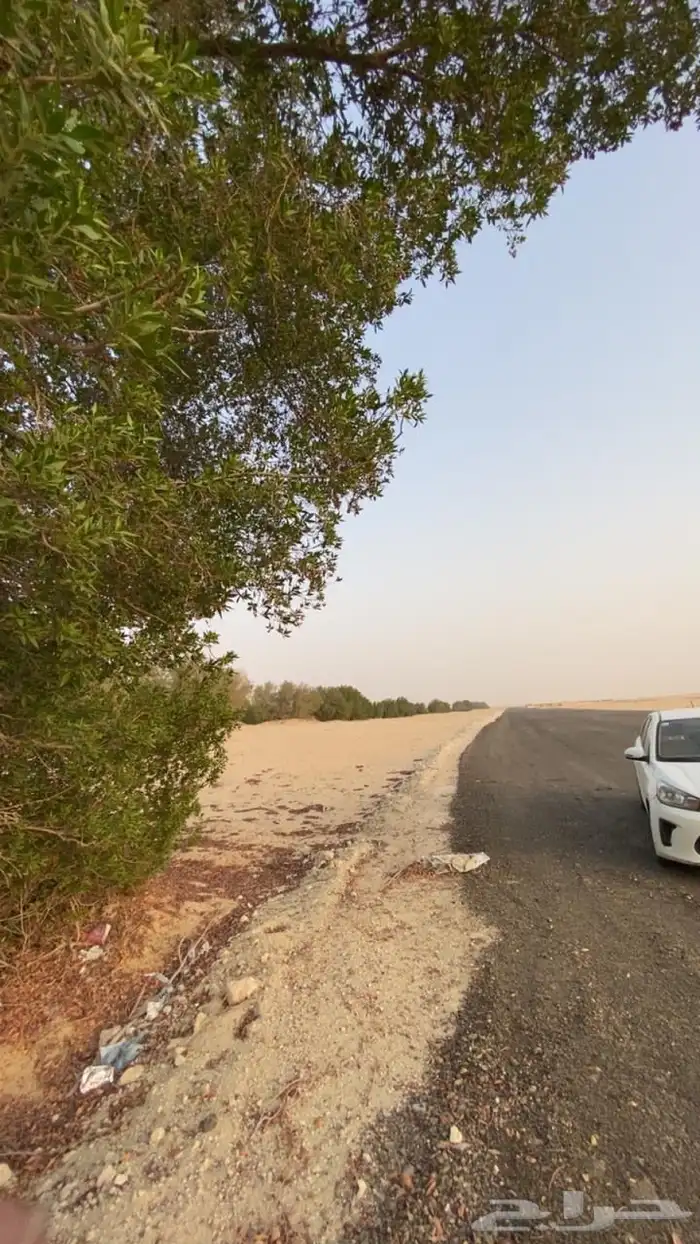 بدء. التاجير اراضي زراعية طريق الرياض الجبيل 2