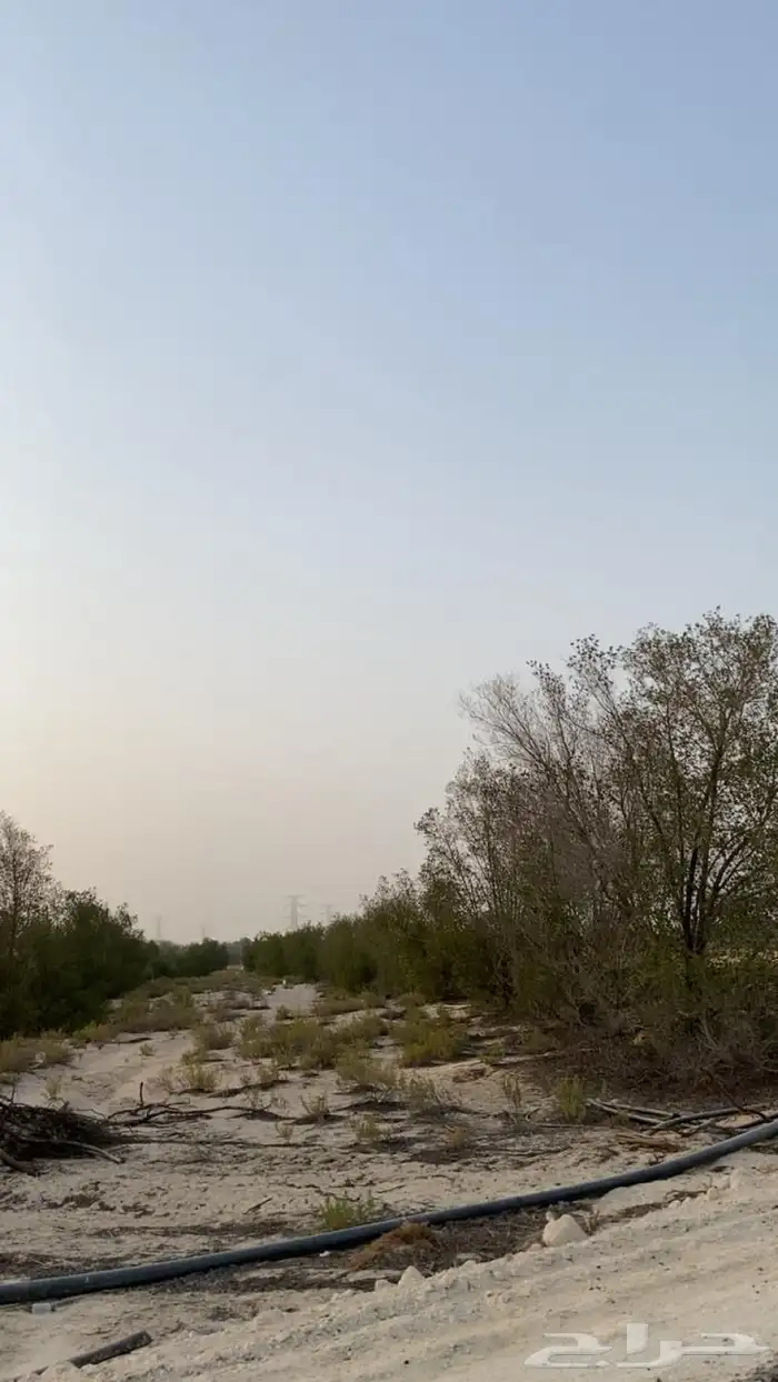 بدء. التاجير اراضي زراعية طريق الرياض الجبيل 3