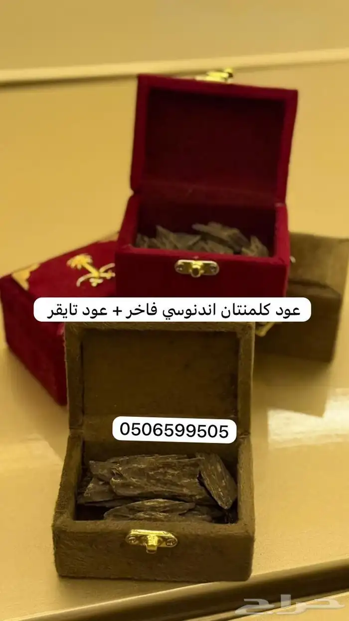 عود كلمتنان اندنوسي فاخر   عود تايقر فاخر 0