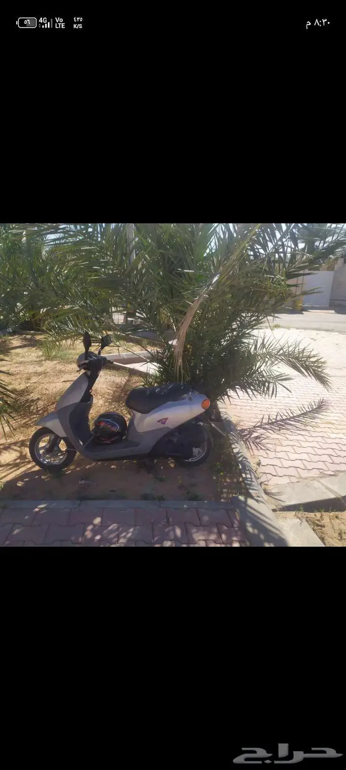 البكيرية 0