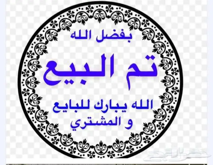 معزا العدد 8 السعر 430 تم البيع 3