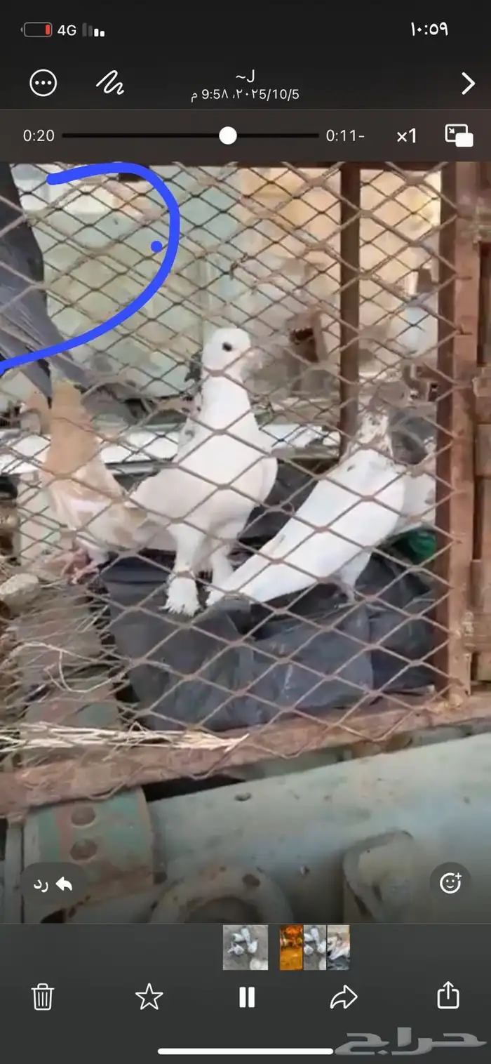 حمام كفوو 1