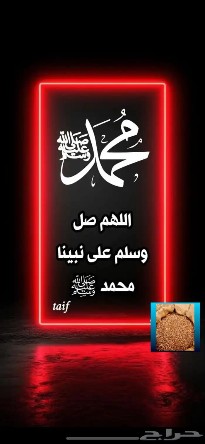 حب بر بللسمر قمح بدون كيماويات 0